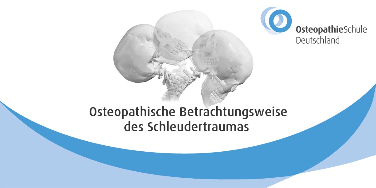 Titelbild - Osteopathische Betrachtungsweise des Schleudertraumas